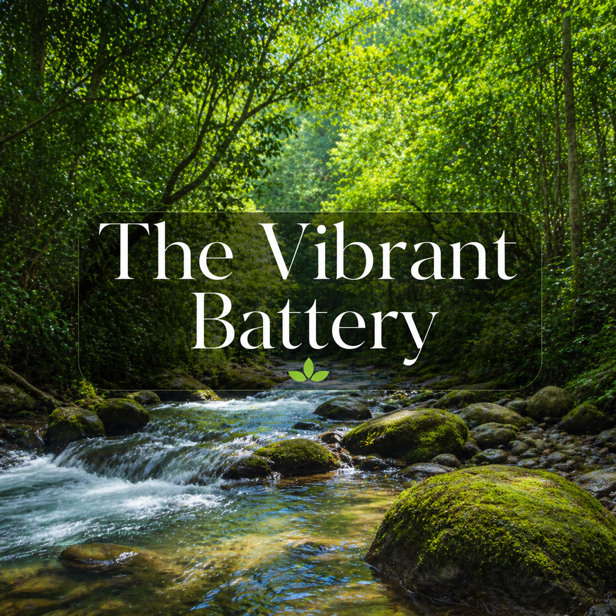 The Vibrant Battery