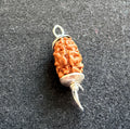 2 Mukhi Rudraksha