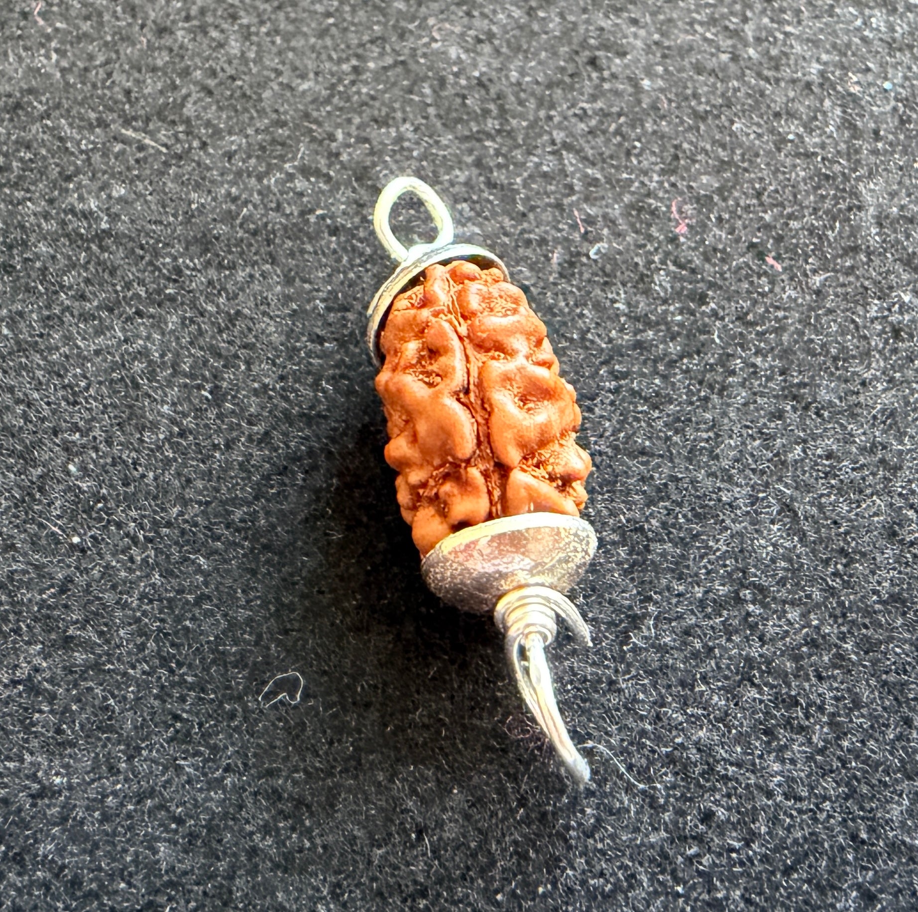 2 Mukhi Rudraksha