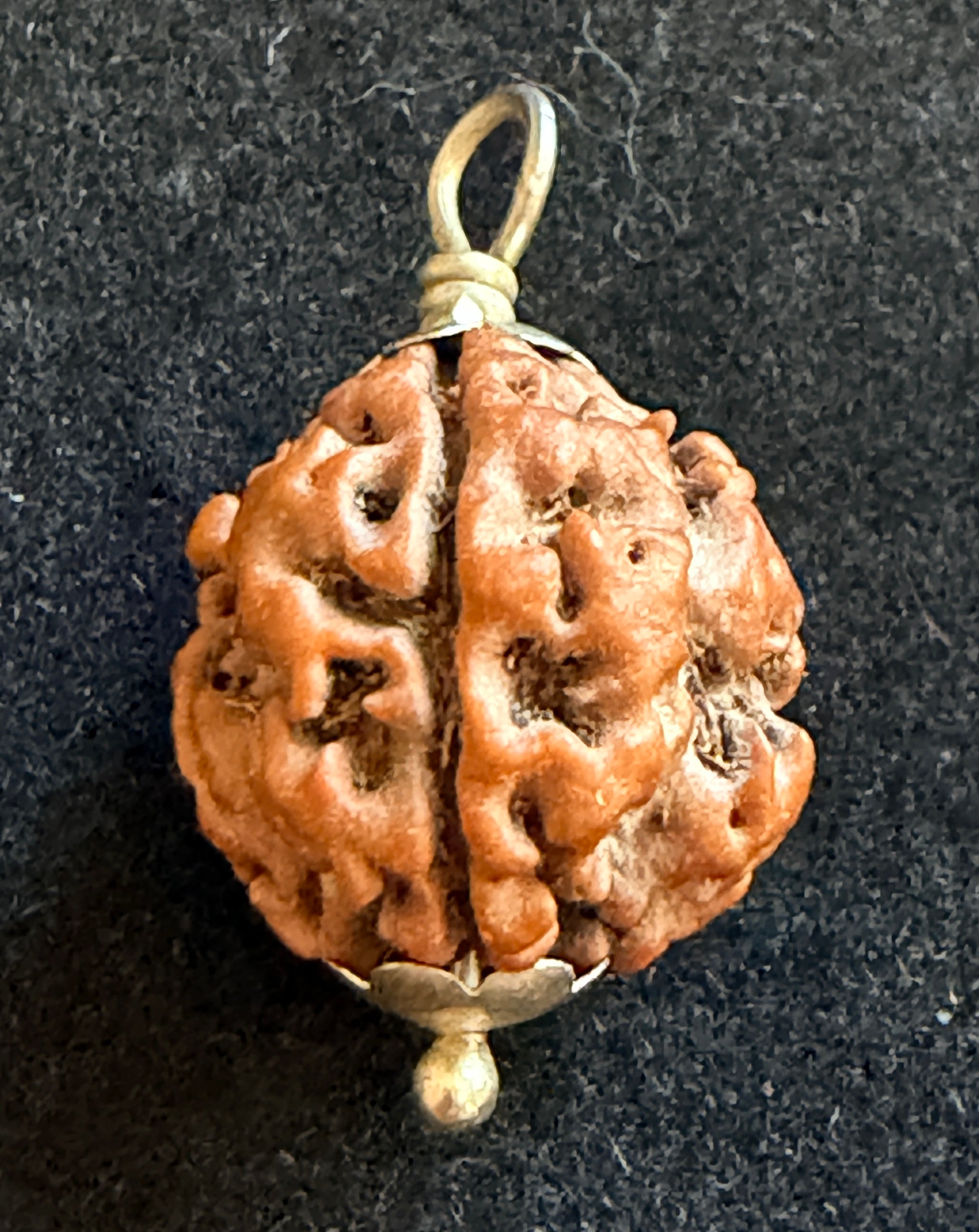 3 Mukhi Rudraksha